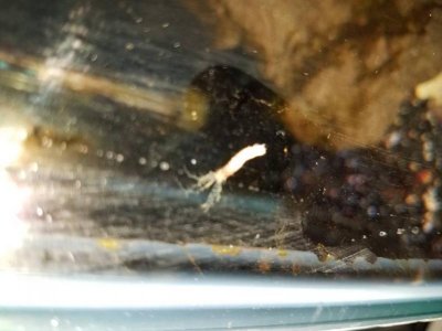 20170417_192550.jpg