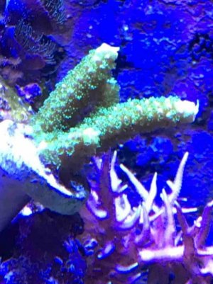 IMG_2799.jpg