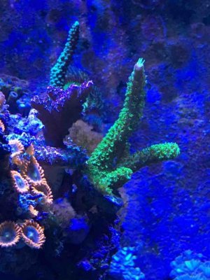 IMG_3603.jpg