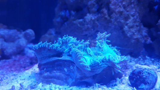 20170603_190502.jpg