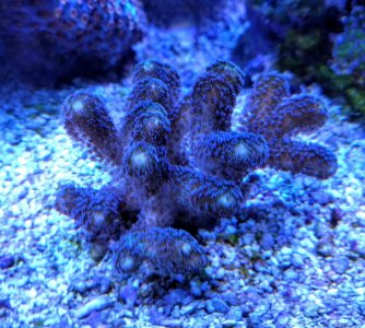 IMG_20170604_144136.jpg