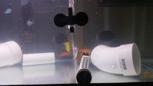 20170525_160503.jpg