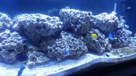 20170604_201106.jpg
