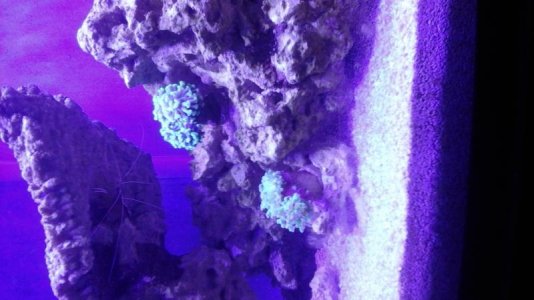 20170421_230418.jpg