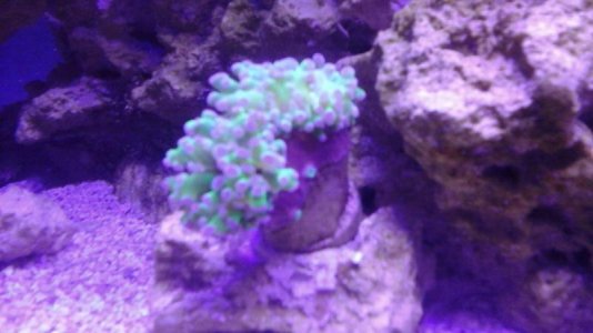 20170421_230319.jpg
