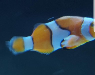 20170620_223654.jpg
