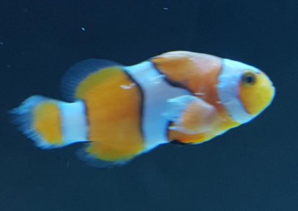 20170620_223616.jpg