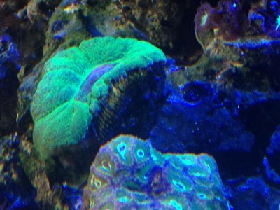IMG_0688.jpg