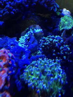 IMG_0699.jpg