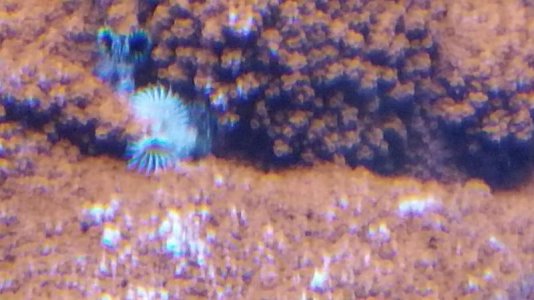 20170622_181800_resized.jpg