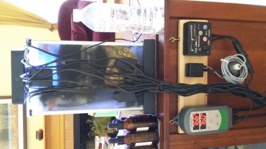 20170610_174714.jpg