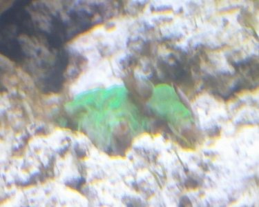 20170609_135845_cr.jpg
