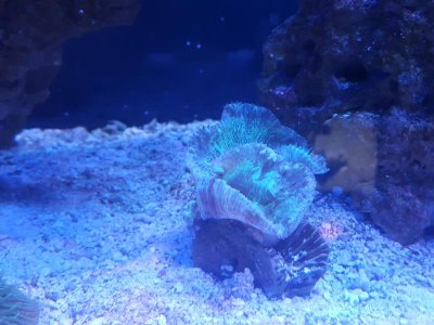 20170626_140324.jpg