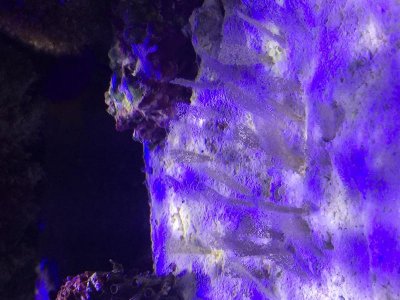 IMG_4872.jpg