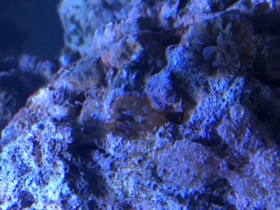 IMG_3994.jpg