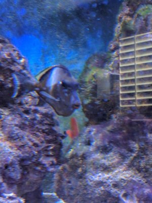 image000000_02.jpg
