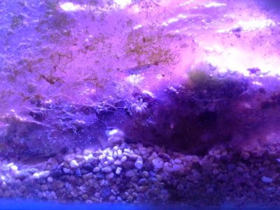20170613_020119.jpg