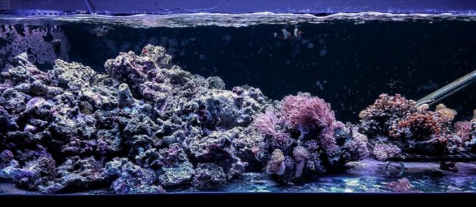 20170627_100000(0).jpg