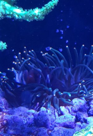 20170613_180836.jpg