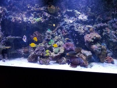 20170616_162543_resized.jpg