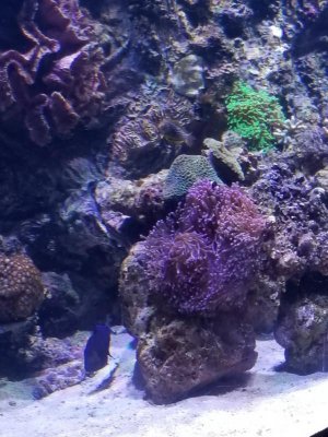 20170613_151530_resized.jpg
