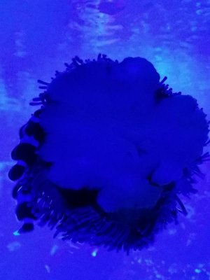 20170627_221502_resized.jpg