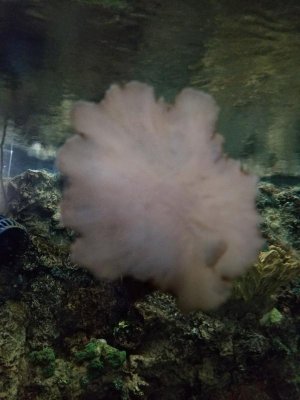 20170628_111608_resized.jpg