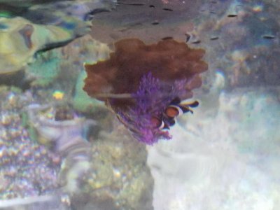 20170628_111907_resized.jpg