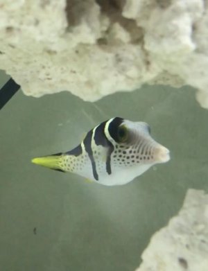 Screen Shot 2017-06-28 at 4.42.34 PM.jpg