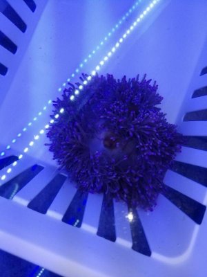 20170628_192447_resized_1.jpg
