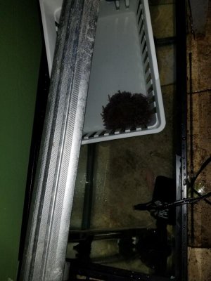20170628_193418_resized_2.jpg