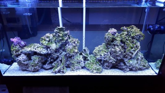 20160918_121420.jpg