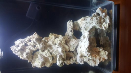 20170616_193643.jpg