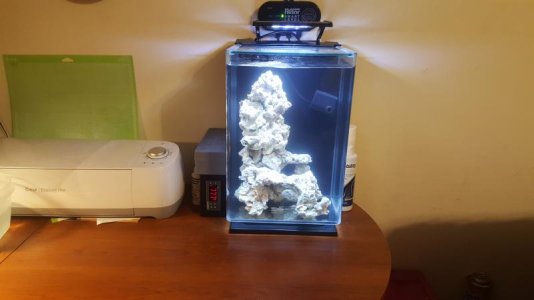 20170616_193713.jpg
