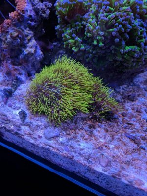 IMG_20170607_172522.jpg