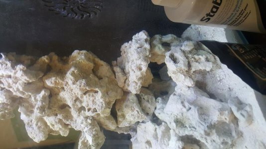 20170701_155559.jpg 20170701_155559.jpg
