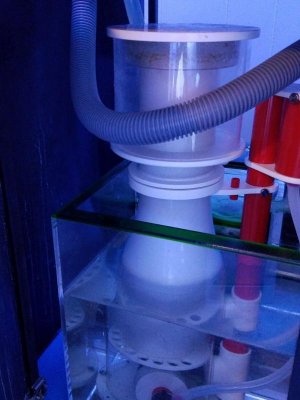 20170614_172111.jpg