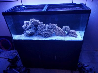 20170619_175526.jpg