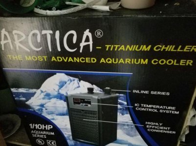 20170614_183116.jpg