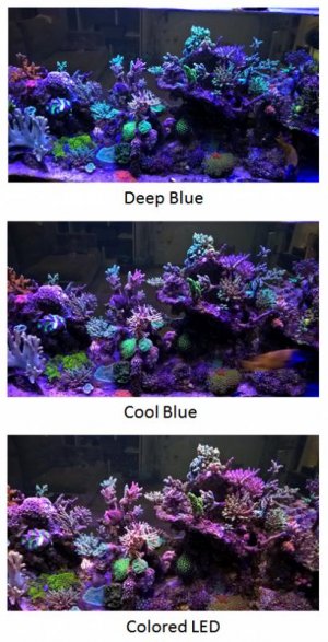 reef led channel.jpg