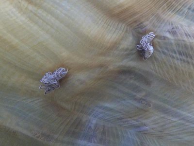 2017-08-15 11.58.23.jpg