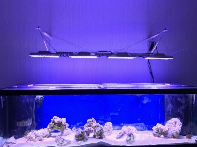 tanklights.jpg