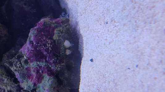 20170815_202210.jpg