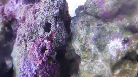 20170815_202159.jpg