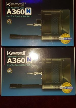 20170703_201721.jpg