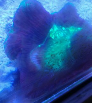 20170706_111620-1.jpg