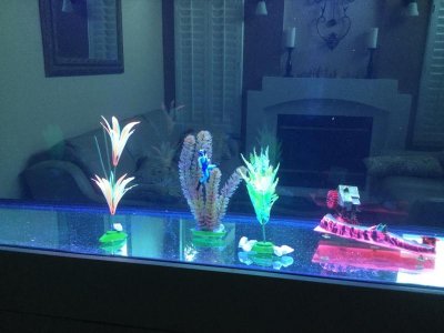 IMG_0888.jpg