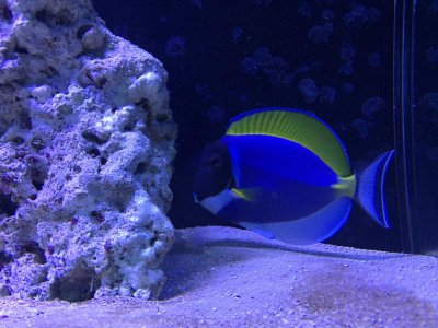 IMG_0090.jpg