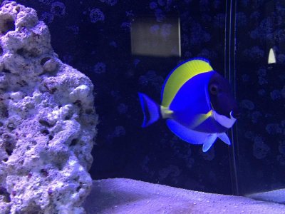IMG_0089.jpg