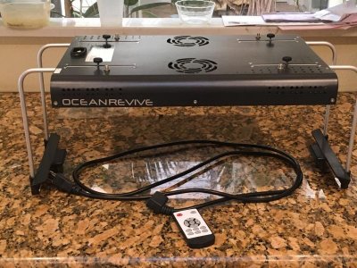 Ocean Revive.jpg